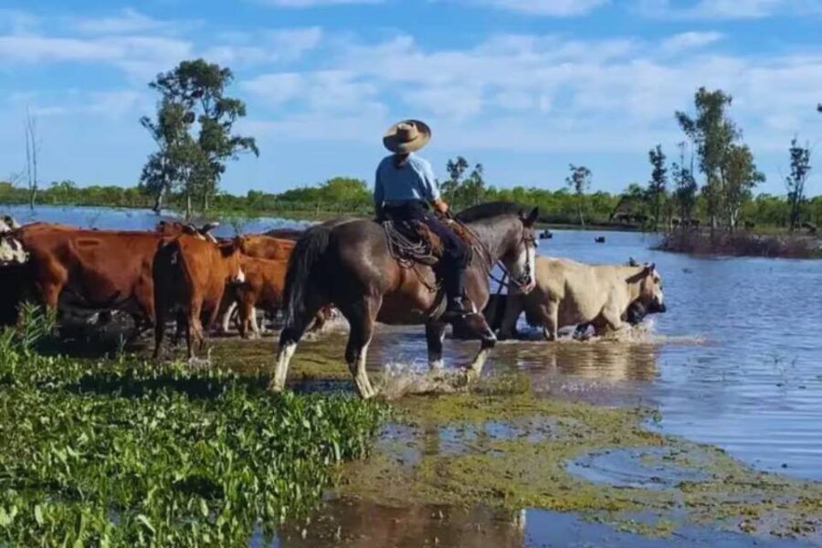 (Mención a Entre Ríos) Crecida de los ríos Uruguay y Paraná