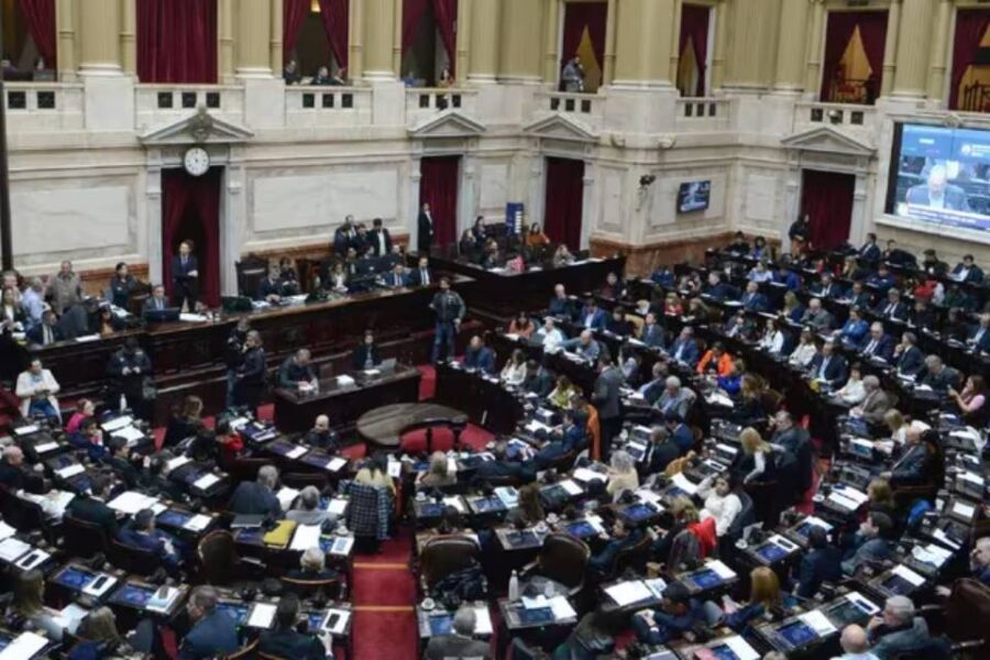 (Mención a diputada entrerriana) Diputados dio media sanción a una nueva fórmula de movilidad jubilatoria, pero Milei anticipó que la vetará