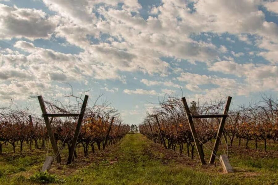 (Localidad entrerriana) Cuál es la ciudad argentina que se perfila como uno de los destinos favoritos para estas vacaciones de invierno