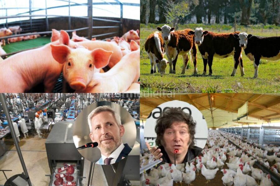 Retenciones: Frigerio celebró la decisión de Milei