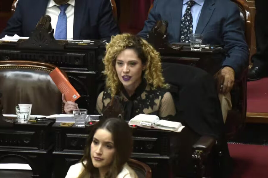 (Mención a diputado entrerriano) En plena tensión con LLA, Lourdes Arrieta publicó el proyecto de ley para dejar en libertad a represores