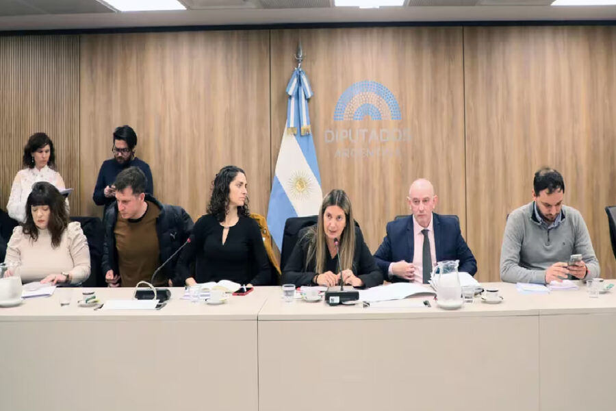 (Mención a diputado entrerriano) Visita a represores: el miércoles se volverá a reunir la comisión, con Arrieta expulsada del bloque