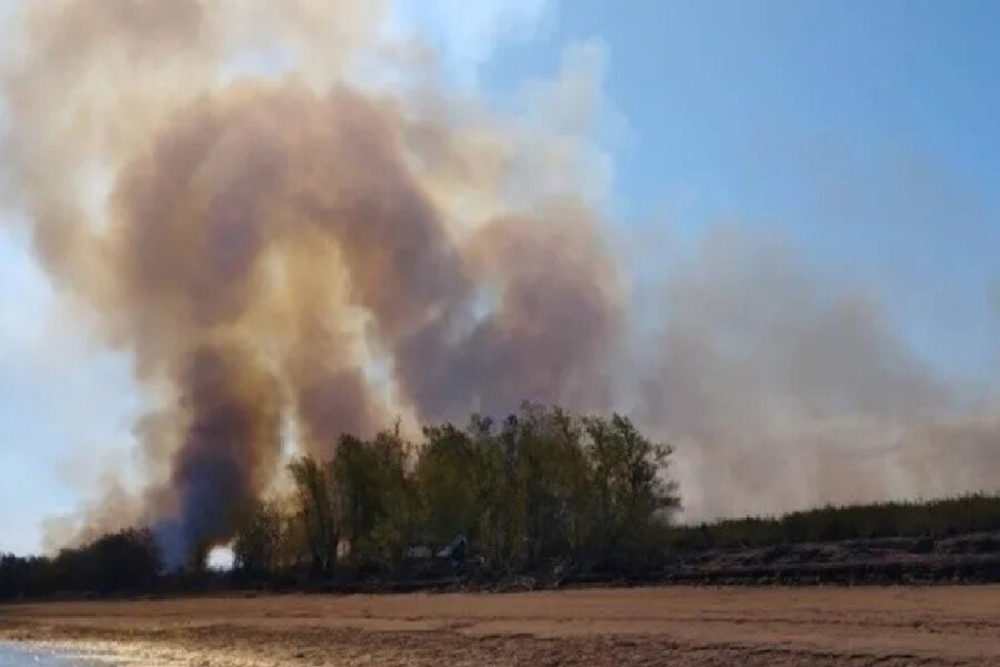 (Ocurrió en Entre Ríos) Piromaníaco fue detenido tras comenzar mega incendio