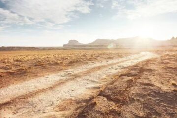 (Mención a Entre Ríos) Qué tan grave es la sequía que afecta a Sudamérica, según los expertos