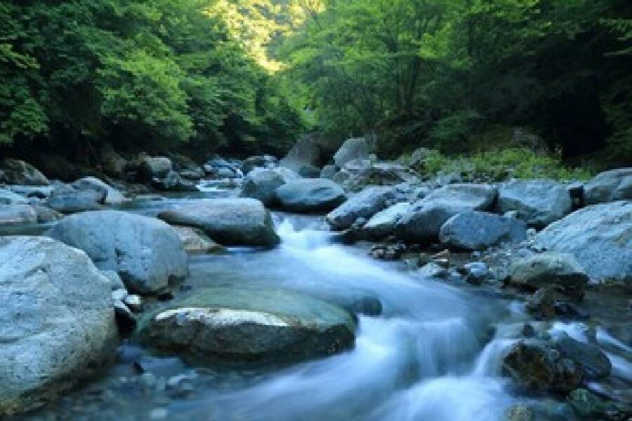 (Mención a Entre Ríos) Descubrí cuál es la provincia Argentina que tiene más ríos: cuántos son