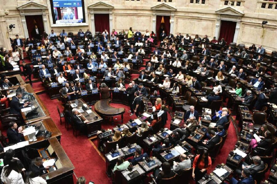 (Mención a legisladores entrerrianos) Un grupo de legisladores nacionales saltó la grieta para participar en una cumbre en Brasil
