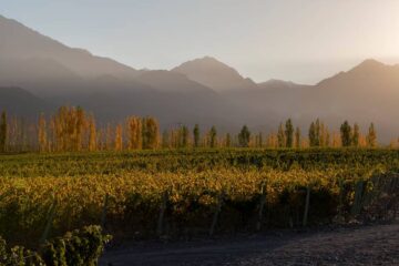 (Mención a localidad entrerriana) Los 8 pueblos argentinos que compiten por ser los mejores del mundo