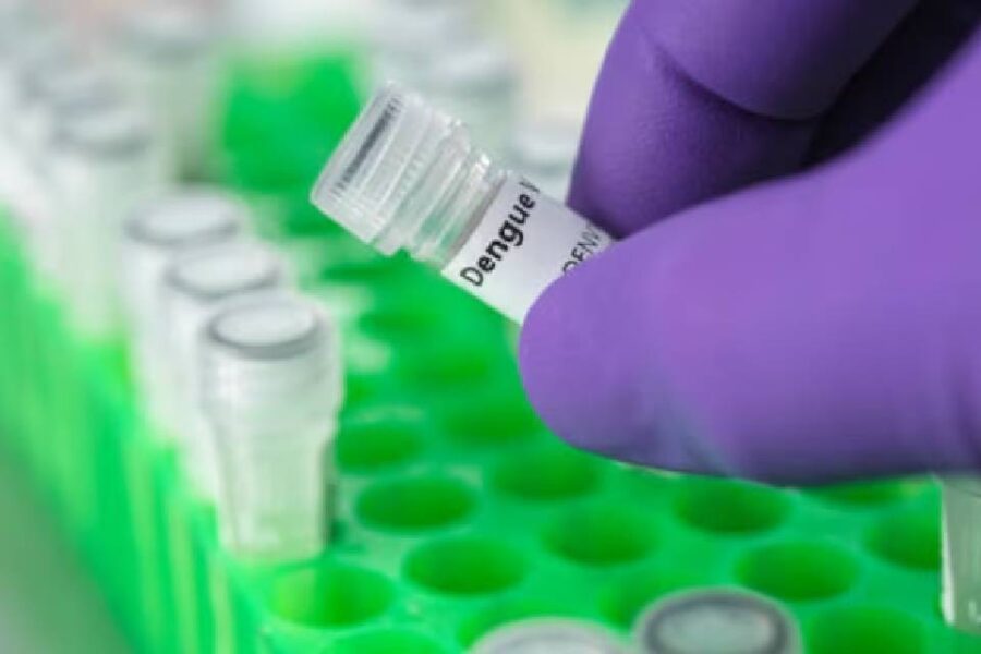 (Mención a Entre Ríos) Dengue en Argentina: cuáles son las 8 jurisdicciones que volvieron a registrar casos autóctonos