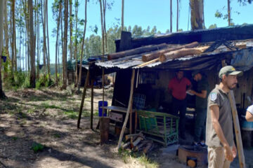 Rescataron a cuatro víctimas de trata en un campo en Entre Ríos: no tenían agua potable, baños ni electricidad