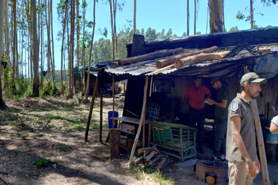 Rescataron a cuatro víctimas de trata en un campo en Entre Ríos: no tenían agua potable, baños ni electricidad