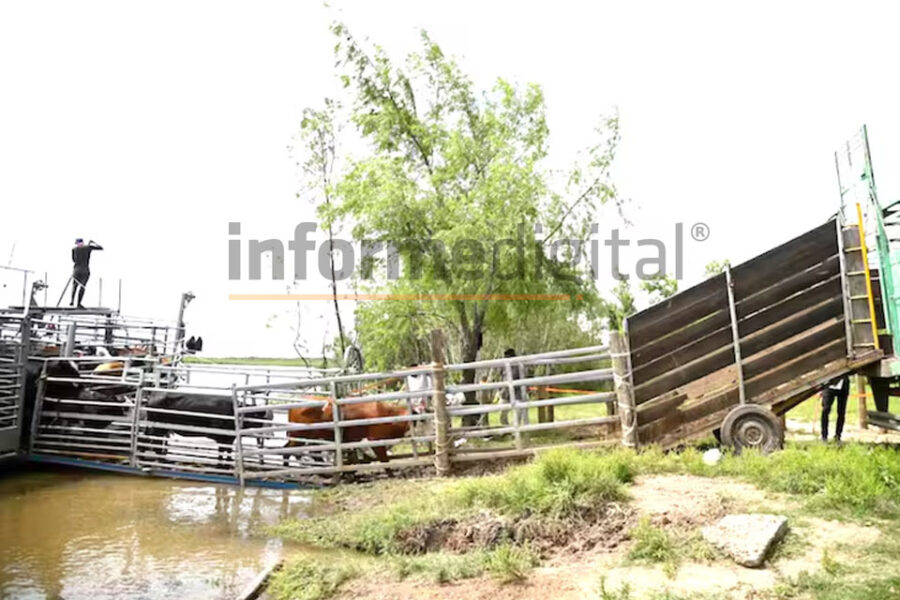 Golpe a un municipio K: aprobaron construir tres puertos en Victoria luego de que la intendenta aumentara las tasas