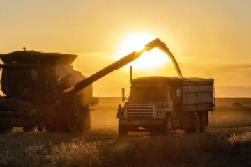 El campo criticó la suba de las retenciones a la soja y el maíz: No es la solución