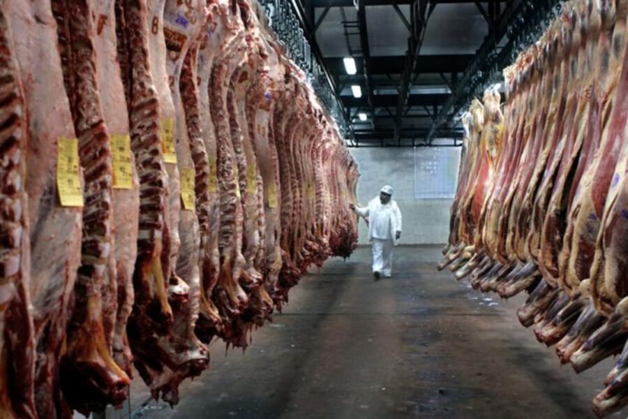 México otorga prórroga tras identificar problemas en 10 frigoríficos exportadores de carne
