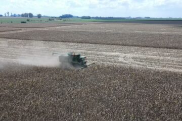 Agro exporta US$3861 millones en el primer mes de la flotación cambiaria