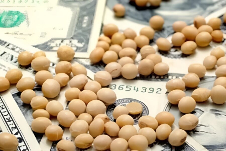 Agro solicita reducción de alícuota para soja y maíz a un mes del cambio de retenciones