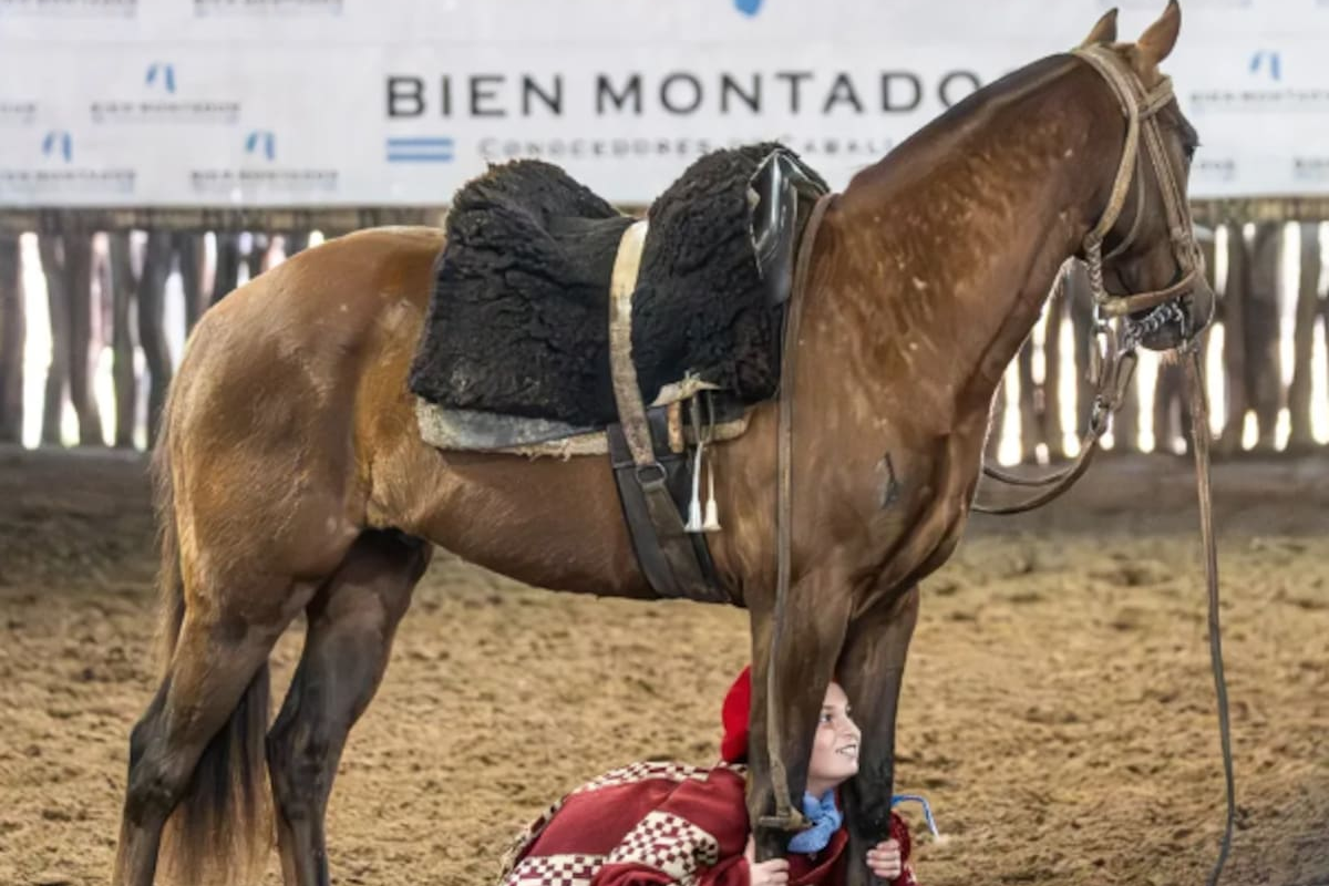 Nueva edición de la clínica Bien Montados ya está aquí