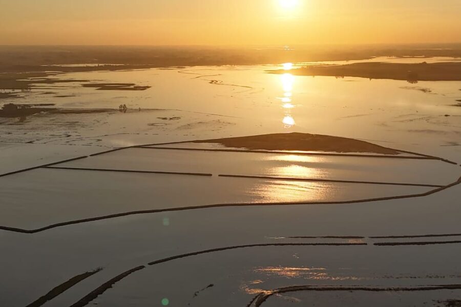 Desde Buenos Aires, el drama de los campos inundados por una obra inconclusa a 100 kilómetros de distancia