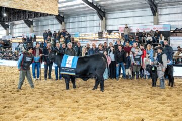 Brangus destacó a sus grandes campeones que capturaron la atención de todos en el evento