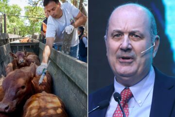 Sturzenegger apoya la reforma en la importación de productos veterinarios y critica a la casta política