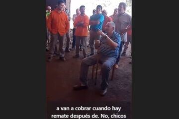 Un video revela la crisis terminal de un aserradero reconocido y sus implicaciones adicionales