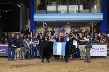 Avances en la genética de élite en competencias deportivas.