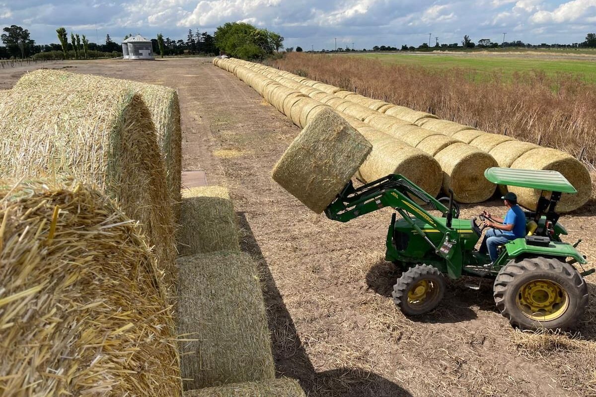 Incorporar tecnología en la ganadería: un momento oportuno