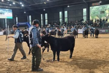 Líderes del sector ganadero analizan el actual buen momento y sus previsiones futuras