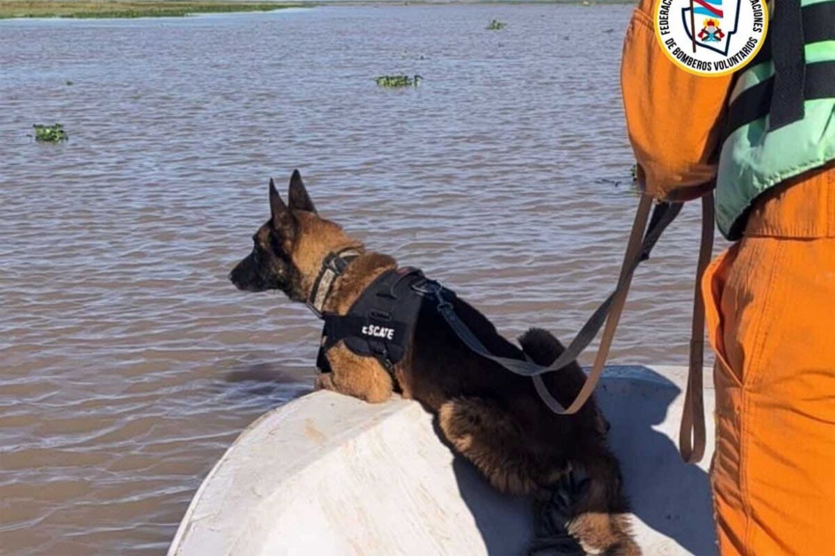 Búsqueda de tres hombres en Victoria: hallan un cuerpo con la ayuda de un perro de bomberos