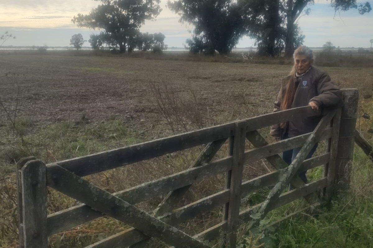 Productora emite contundente mensaje sobre el atraso en las obras de prevención de inundaciones