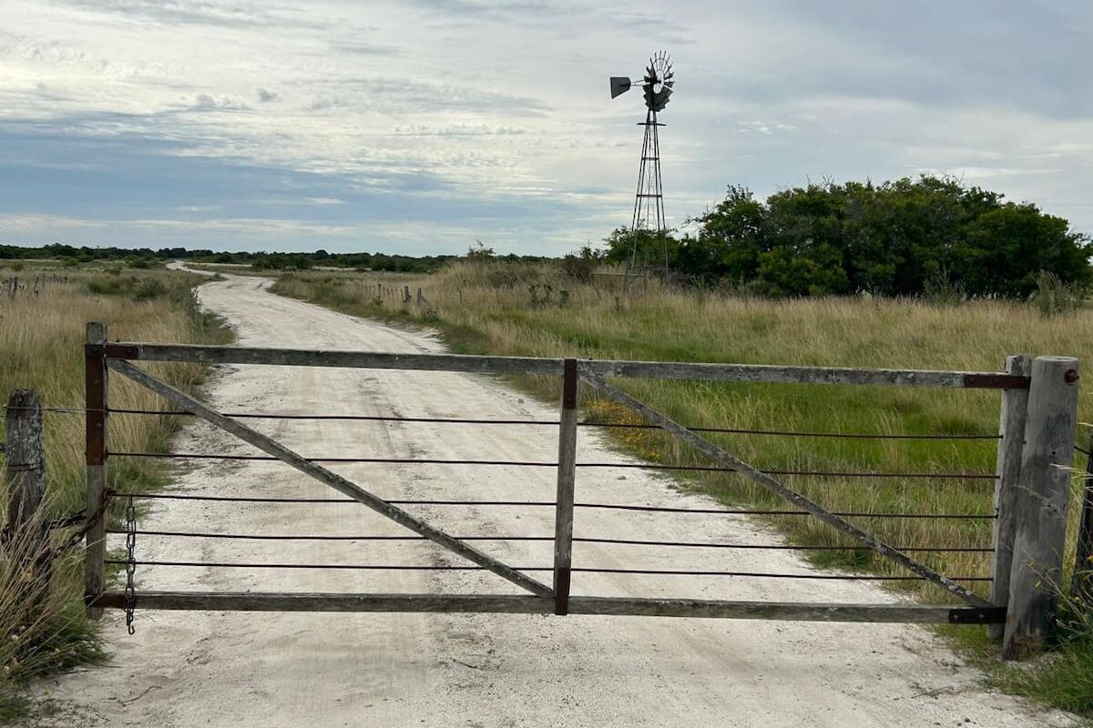 El impacto del fenómeno “góndola vacía” en el mercado de campos y su influencia en las operaciones