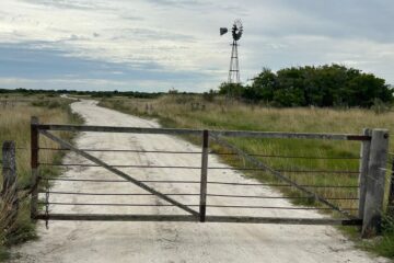 El impacto del fenómeno “góndola vacía” en el mercado de campos y su influencia en las operaciones