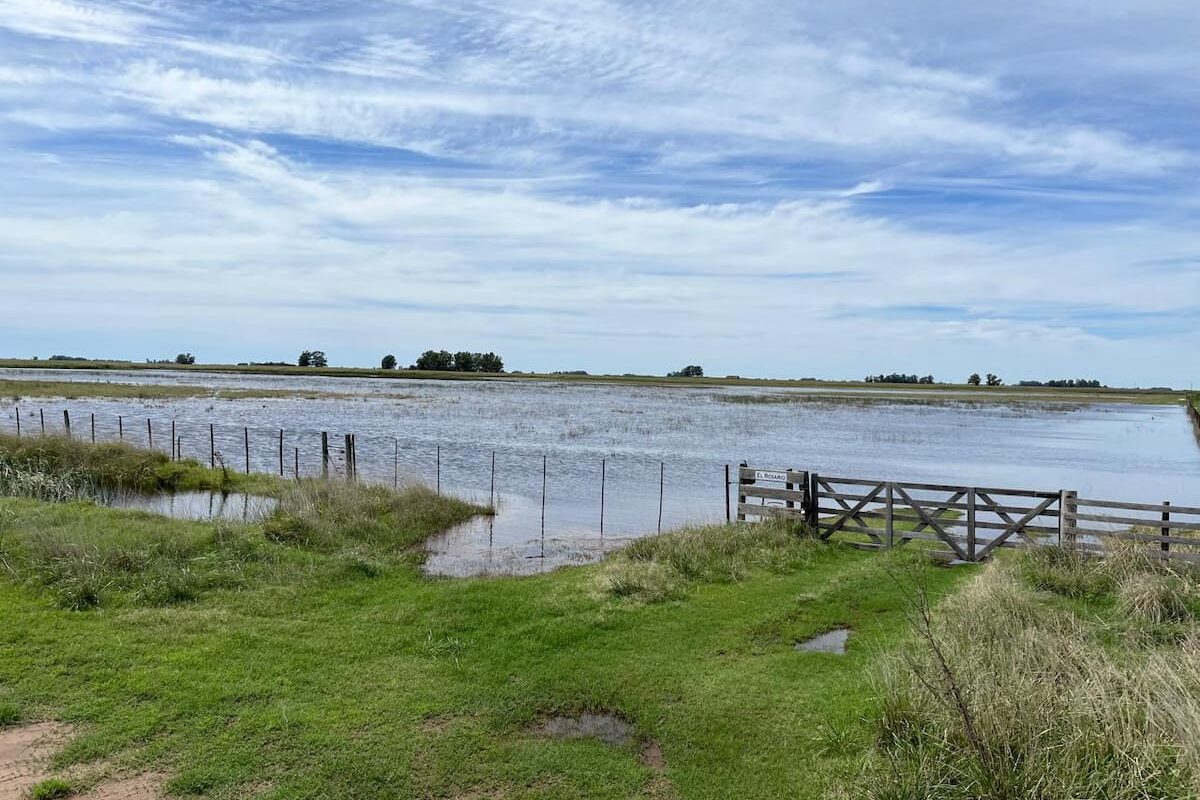 La soja sin cosechar en Buenos Aires ocupa 1,26 millones de hectáreas