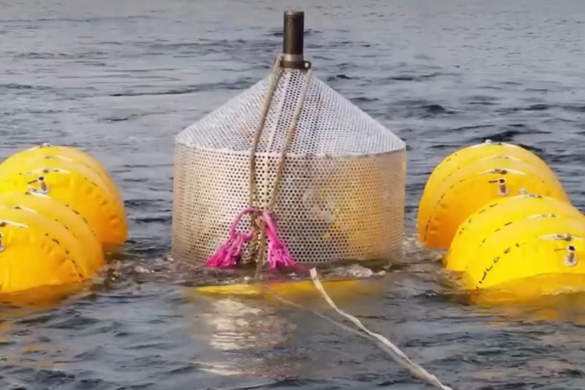 Sugerencia de hundir 400 toneladas de hormigón en el mar por un motivo inusual