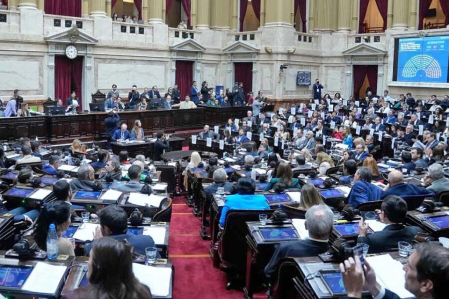 Diputados: la oposición busca una doble sesión este miércoles para debatir presupuesto universitario, Garrahan y decretos de Milei