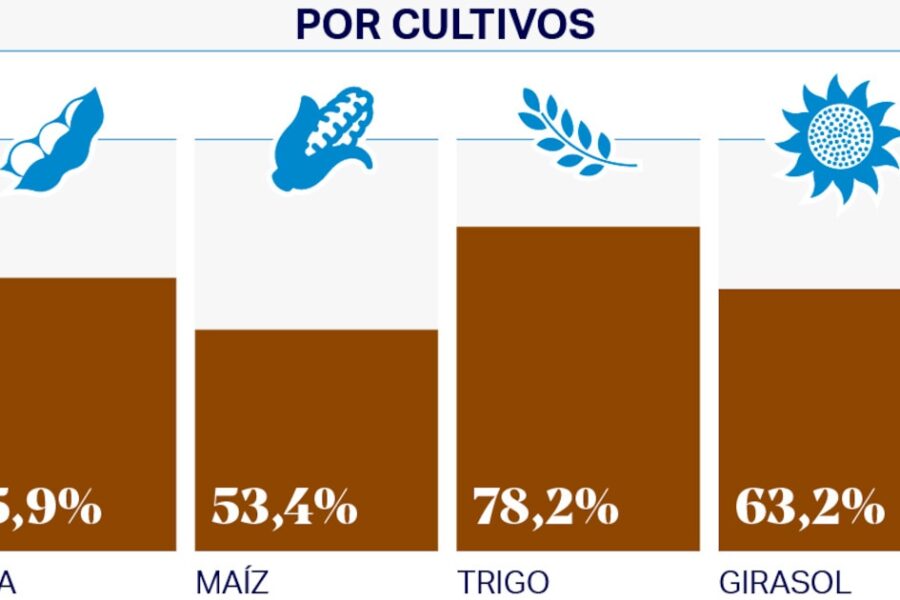 El Estado retiene 63 de cada 100 pesos que generan los agricultores en sus rentas