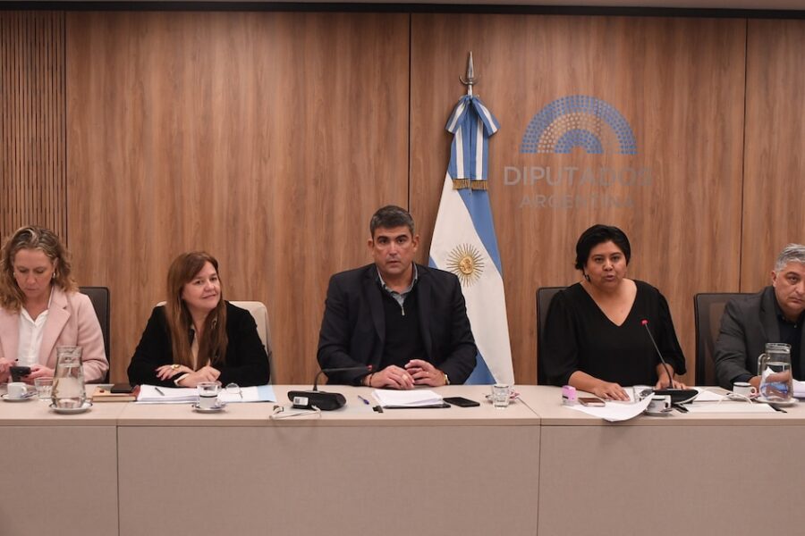 Defensoría del Niño: el PJ y la UCR activaron un “puente anti-acefalía” hasta que se realice el concurso