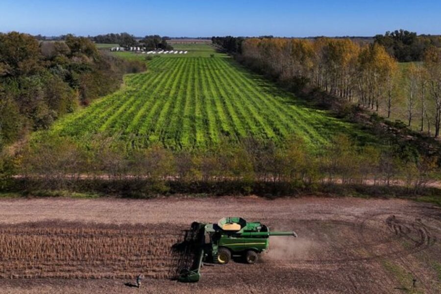 Gobierno anuncia aumento de retenciones a la soja y el maíz a partir del 1° de julio tras publicación oficial