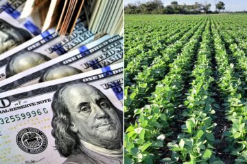 Cuánto dejó de recaudar el Gobierno por reducir las retenciones a la soja y qué pasará si las sube