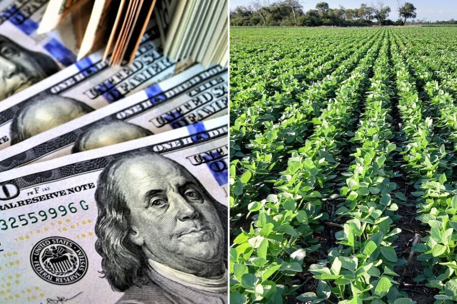 Cuánto dejó de recaudar el Gobierno por reducir las retenciones a la soja y qué pasará si las sube