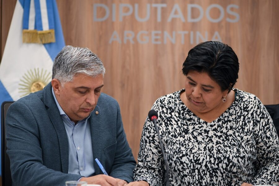 Defensor del Niño: la oposición impulsa un concurso rápido en el Congreso, dejando aislado al Gobierno y a Marisa Graham