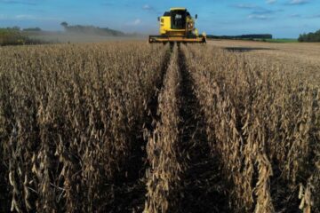 Lluvias afectan la cosecha de soja y maíz en el este de la región agrícola
