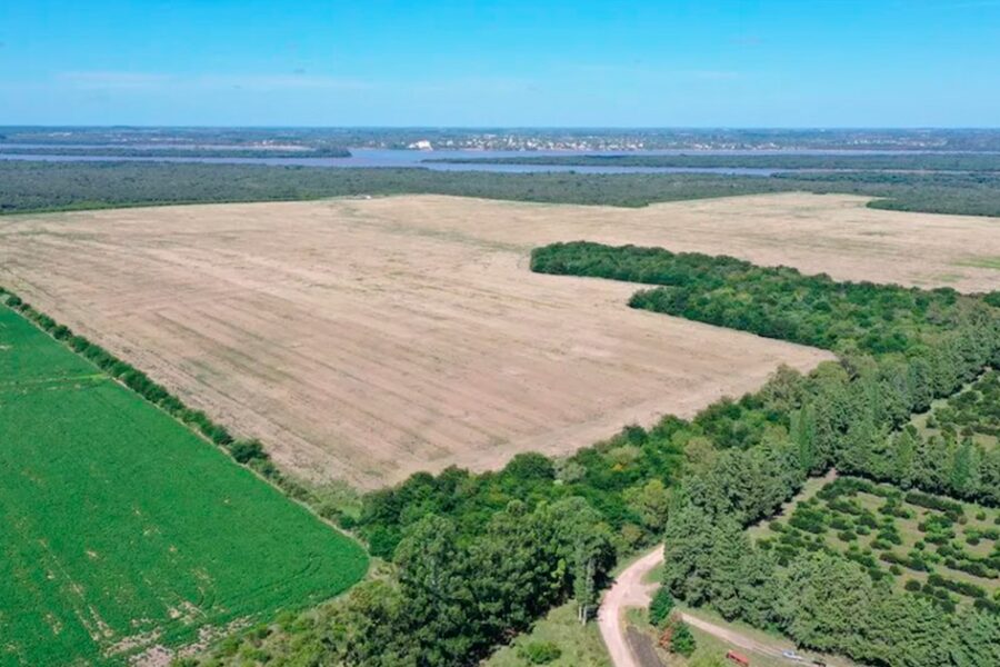 Uruguay reformula el proyecto de la planta de hidrógeno verde que generó inquietud en Entre Ríos