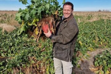 Cultivo innovador revoluciona el campo y baja el precio de la carne a solo US$0,50 por kilo.