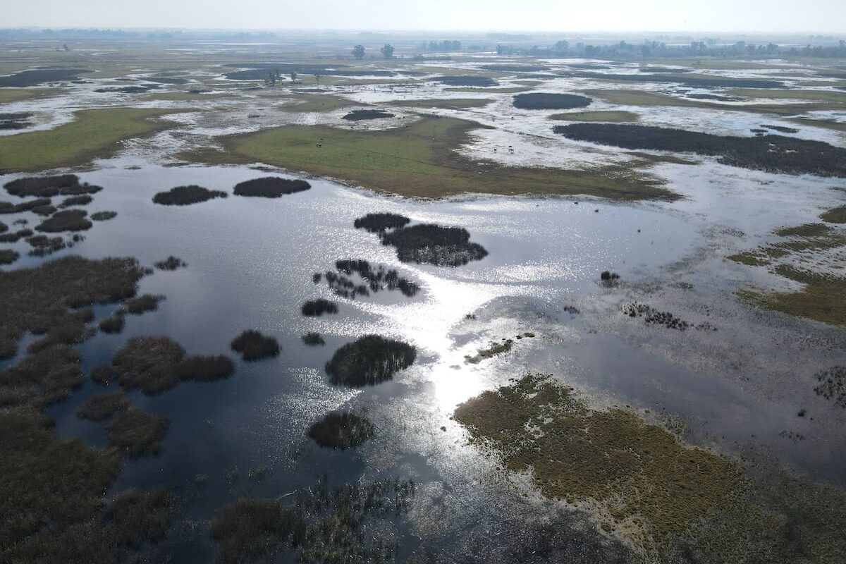 El drama en el campo: obras inconclusas y una impactante realidad de casi un millón de hectáreas inundadas