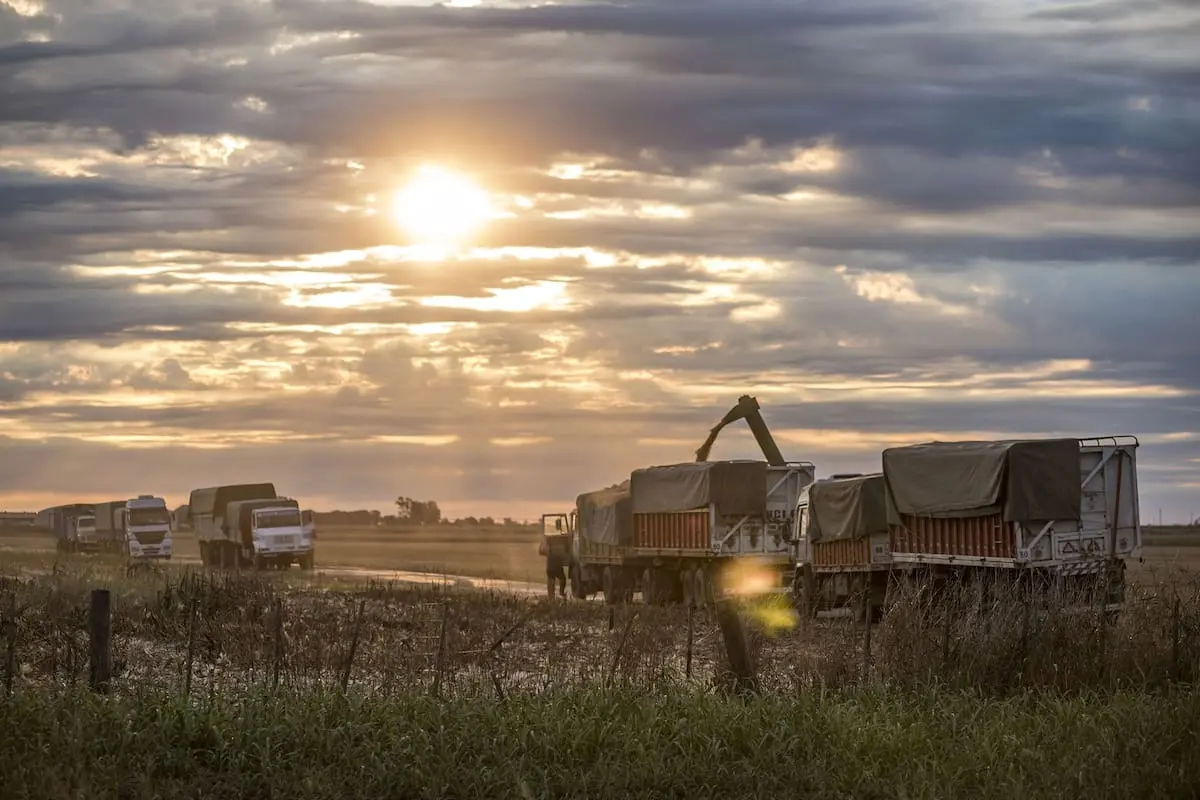 Decisión final a la vista: el urgente tiempo de descuento para una revisión crítica