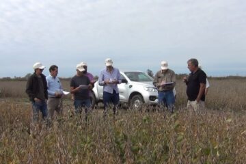Nuevas tecnologías en la evaluación de cultivos: soja no OGM, maní y alfalfa, avances junto al INTA