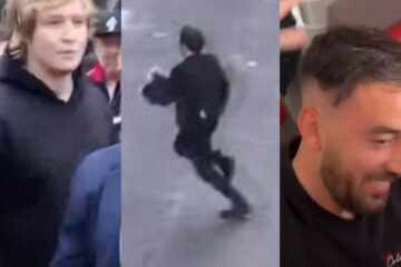 Militancia libertaria: el momento en que los leones deciden escapar y no enfrentar la adversidad