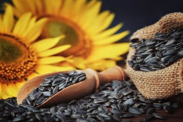 Cultivo argentino: una oportunidad en medio de la turbulencia geopolítica global