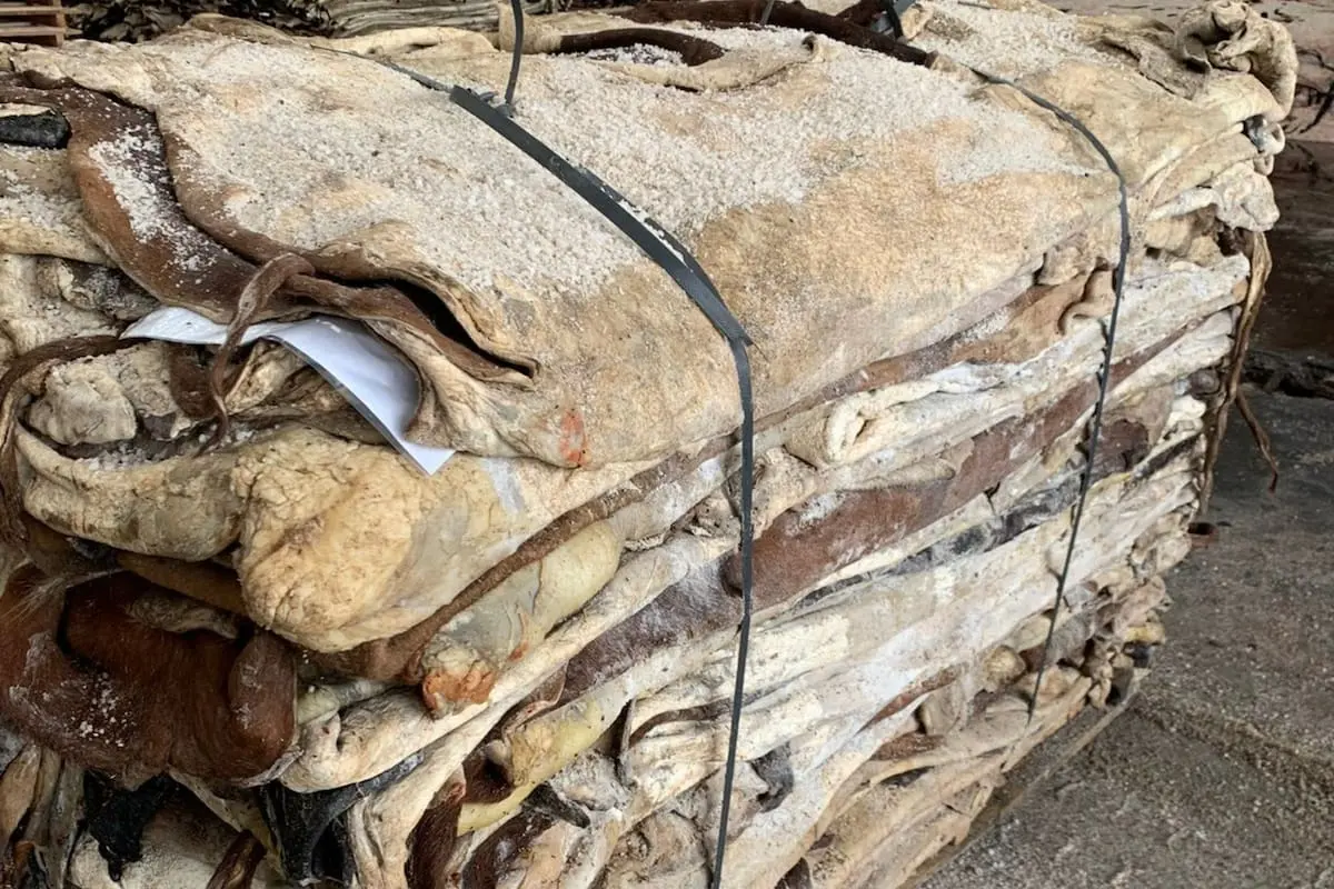 Gobierno anula norma de Carlos Menem que imponía retenciones a la industria de los cueros