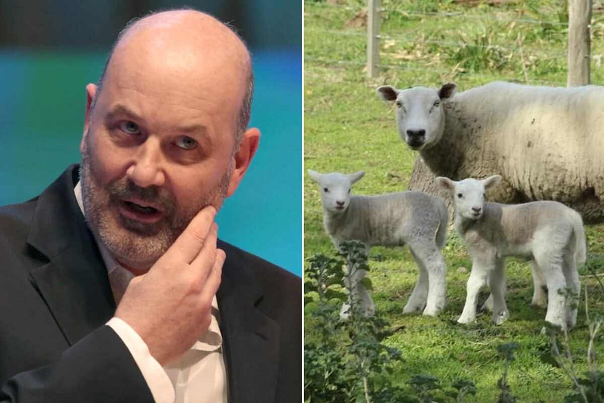 El Gobierno pone fin a regímenes ganaderos con larga tradición histórica